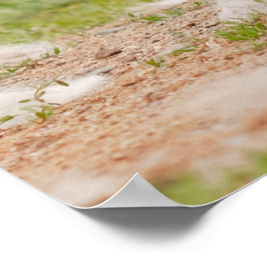 グレーウルフパップレスリング ポスター (角)