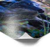 グレーウルフフォトプリント フォトプリント            (角)