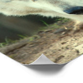 グレーウルフプリント ポスター (角)