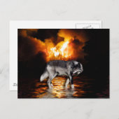 グレーウルフポストカード ポストカード (正面/裏面)