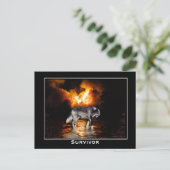 グレーウルフポストカード ポストカード (スタンド正面)