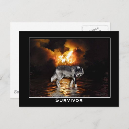 グレーウルフポストカード ポストカード (正面/裏面)