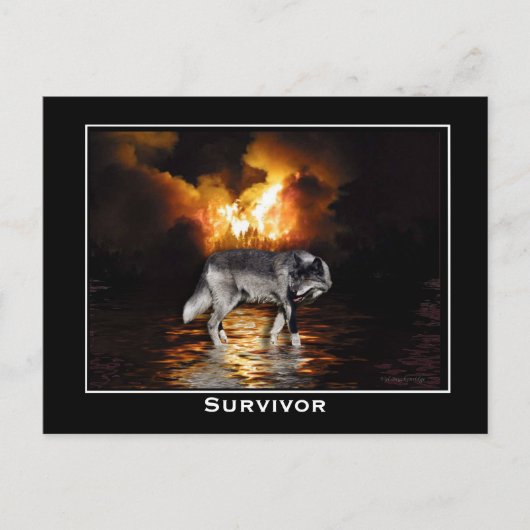 グレーウルフポストカード ポストカード (正面)