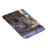 グレーウルフ磁石 マグネット (右側)