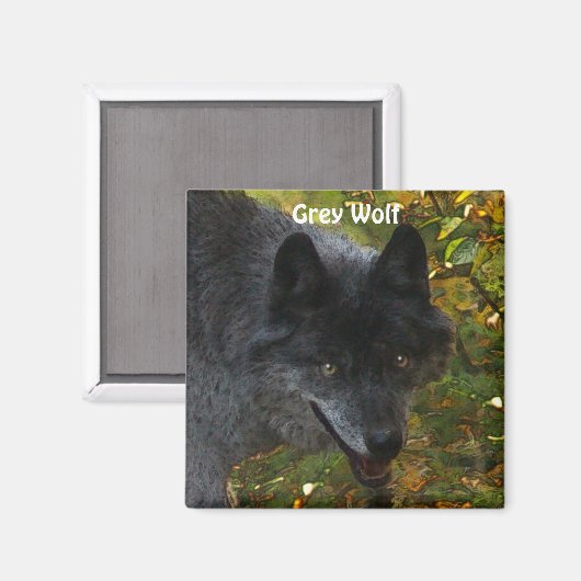 グレーウルフ野生生物サポーターの写真マグネット マグネット (正面/裏面)