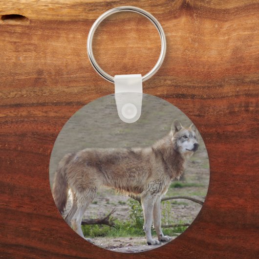 グレーウルフ12 キーホルダー (正面)