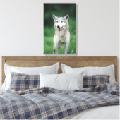 グレーウルフ2 キャンバスプリント (インサイチュ (寝室))