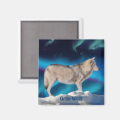 グレーウルフ&オーロラワイルドライフコレクション マグネット (正面/裏面)