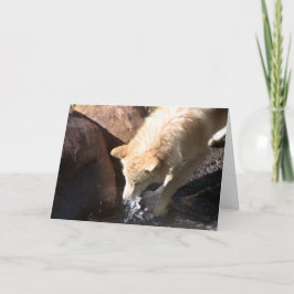 グレーウルフ カード