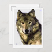 グレーウルフ シーズンポストカード (正面/裏面)