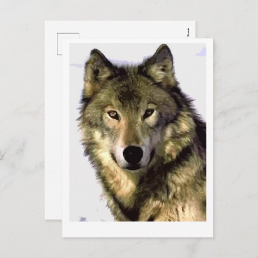 グレーウルフ シーズンポストカード (正面/裏面)