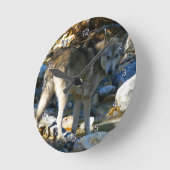 グレーウルフ&ストーニクリークのフォトクロック ラウンド壁時計 (傾斜)