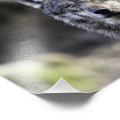 グレーウルフ フォトプリント            (角)