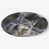 グレーウルフ ペーパープレート (アングル)