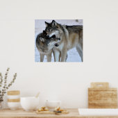 グレーウルフ ポスター (キッチン)