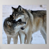 グレーウルフ ポスター (正面)