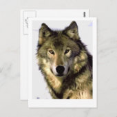 グレーウルフ ポストカード (正面/裏面)