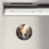 グレーウルフ マグネット (インサイチュ (食洗機))