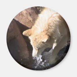 グレーウルフ マグネット