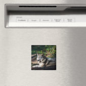 グレーウルフ マグネット (インサイチュ (食洗機))