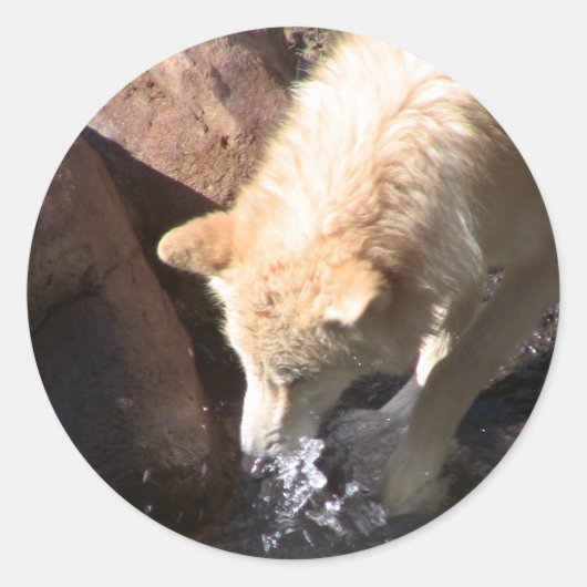 グレーウルフ ラウンドシール (正面)