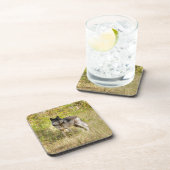 グレーウルフ&ワイルダネス写真ギフト コースター (右側)