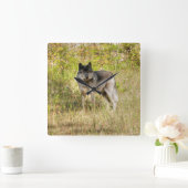 グレーウルフ&ワイルダネス写真ギフト スクエア壁時計 (ホーム)