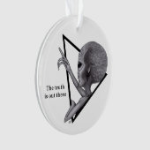 グレーエイリアン、真実はそこにある オーナメント (正面)