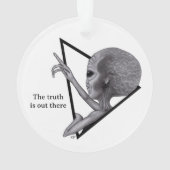 グレーエイリアン、真実はそこにある オーナメント (裏面)