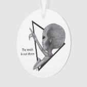 グレーエイリアン、真実はそこにある オーナメント (正面)