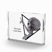 グレーエイリアン、真実はそこにある フォトブロック (右)