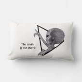 グレーエイリアン、真実はそこにある ランバークッション (正面)