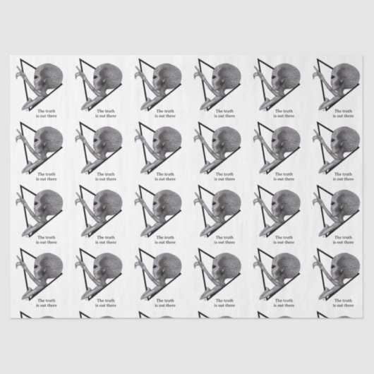 グレーエイリアン、真実はそこにある 薄葉紙 (正面)