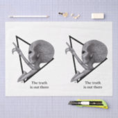 グレーエイリアン、真実はそこにある 薄葉紙 (クラフト)