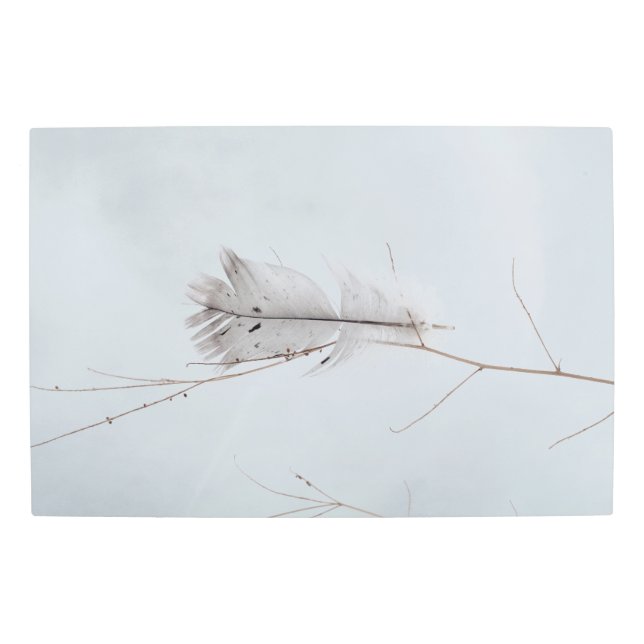 グレーエレガントの斑点のある羽毛オン枝 メタルプリント (正面)