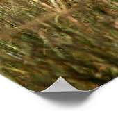 グレーエレファントグラスランズ ポスター (角)