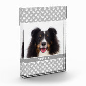 グレーカスタムと名前に白い手を付けたペットの写真 フォトブロック (左)