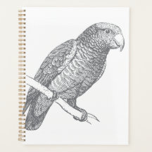 グレーカラーのオウムの線画アート作品