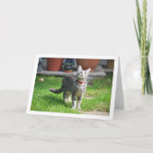 グレーキットインガーデン カード (正面)