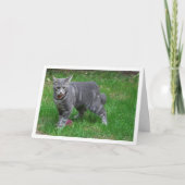 グレーキットオンローン カード (正面)