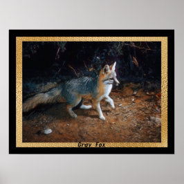 グレーキツネ準備完了 ポスター