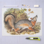 グレーキツネ（カニスバージニアヌス） 薄葉紙 (クラフト)