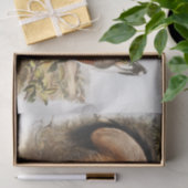 グレーキツネ（カニスバージニアヌス） 薄葉紙 (ギフト)