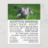 グレーキャットオングラス、ペットの里親募集広告イベントズ チラシ (正面)