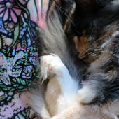 グレーキャットコラージアートキティ猫コラージュ メタルオーナメント