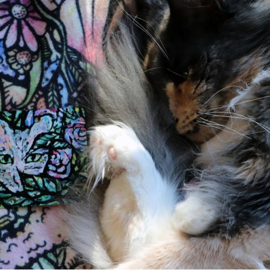 グレーキャットコラージアートキティ猫コラージュ メタルオーナメント