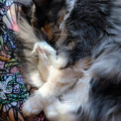 グレーキャットコラージアートキティ猫コラージュ メタルオーナメント