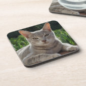 グレーキャットコースター コースター (左側)