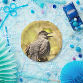 グレーキャットバードサンザーズ歌紙プレート ペーパープレート (パーティー)