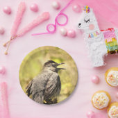 グレーキャットバードサンザーズ歌紙プレート ペーパープレート (パーティー)